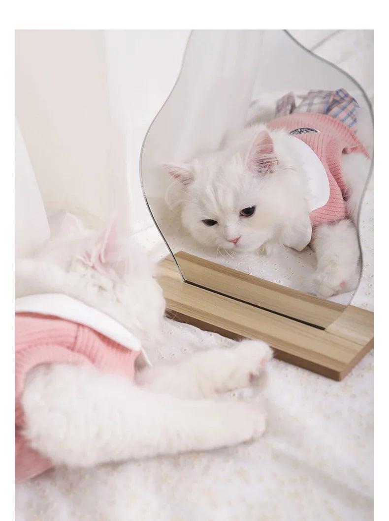 Cute Cat Clothes For Autumn Winter Warm Skin-Friendly Lovely Cats Clothing For Ragdoll Blue Cat Kitten Dress ropa para gato