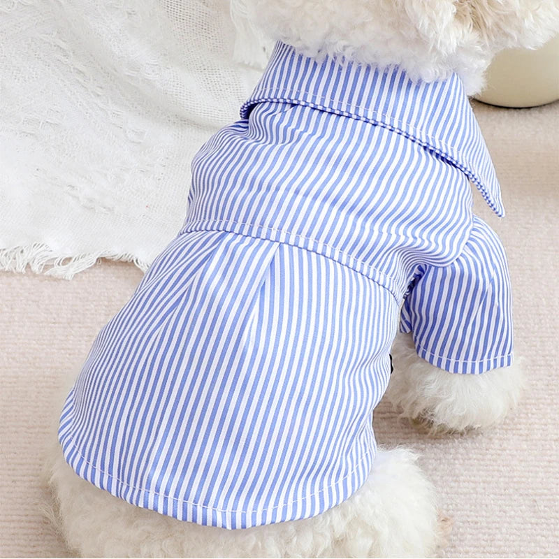 Pet Dog Clothes Bowknot Striped Shirts Thin Summer Blue Fashion Chihuahua Stripe Shirt for Small Dogs Clothing Wholesale