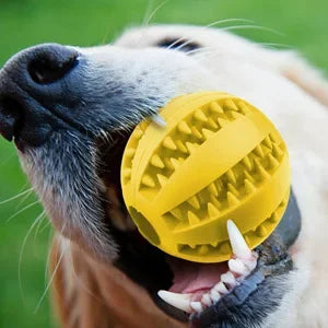 Dog Ball Toys for Small Dogs Interactive Elasticity Puppy Chew Toy Tooth Cleaning Rubber Food Ball Toy Pet Stuff Accessories