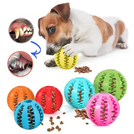 Dog Ball Toys for Small Dogs Interactive Elasticity Puppy Chew Toy Tooth Cleaning Rubber Food Ball Toy Pet Stuff Accessories