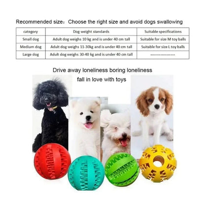 Dog Ball Toys for Small Dogs Interactive Elasticity Puppy Chew Toy Tooth Cleaning Rubber Food Ball Toy Pet Stuff Accessories