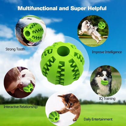 Dog Ball Toys for Small Dogs Interactive Elasticity Puppy Chew Toy Tooth Cleaning Rubber Food Ball Toy Pet Stuff Accessories