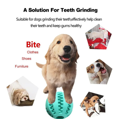 Dog Ball Toys for Small Dogs Interactive Elasticity Puppy Chew Toy Tooth Cleaning Rubber Food Ball Toy Pet Stuff Accessories