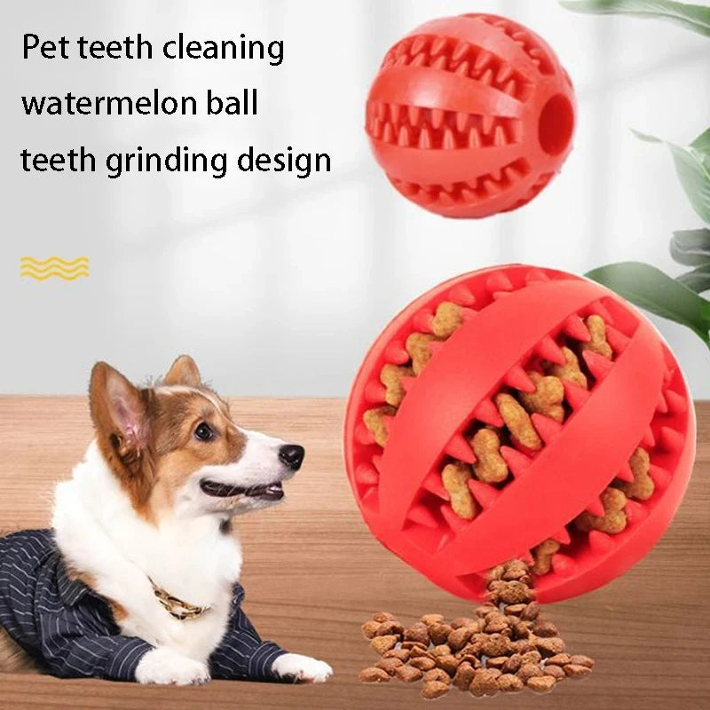 Dog Ball Toys for Small Dogs Interactive Elasticity Puppy Chew Toy Tooth Cleaning Rubber Food Ball Toy Pet Stuff Accessories