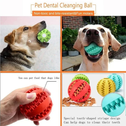 Dog Ball Toys for Small Dogs Interactive Elasticity Puppy Chew Toy Tooth Cleaning Rubber Food Ball Toy Pet Stuff Accessories