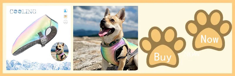 Summer Dog Cooling Vest Harness Reflective Quick Release Hot Pet Clothes Cool Jacket For Small Medium Largr Dog Accessories